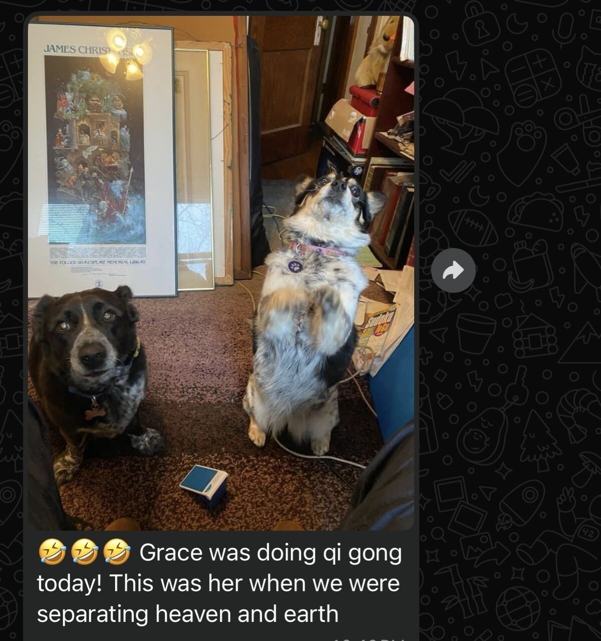 MW Taichi & Wellness