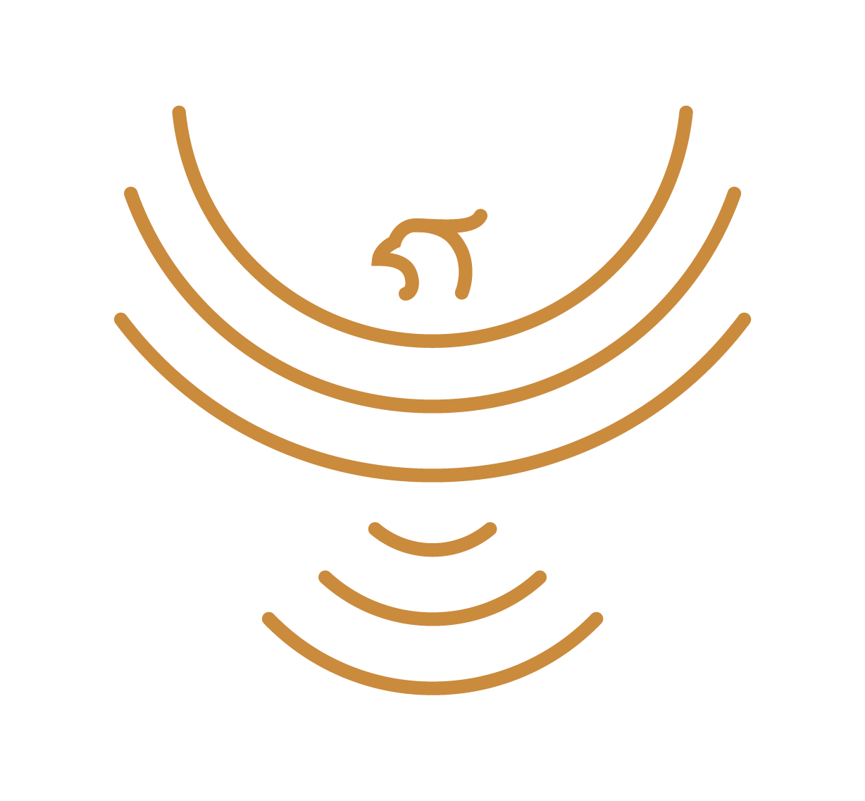 Numa Wellness Collective