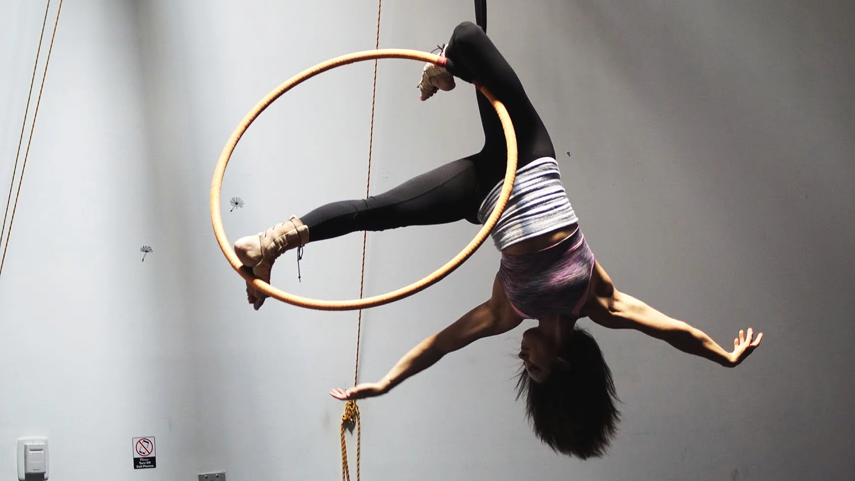 Academy of Aerial Fitness