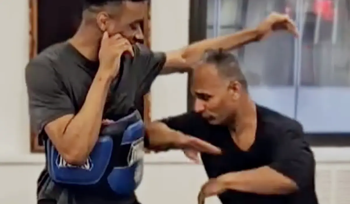 Academy of Integrated Martial Systems