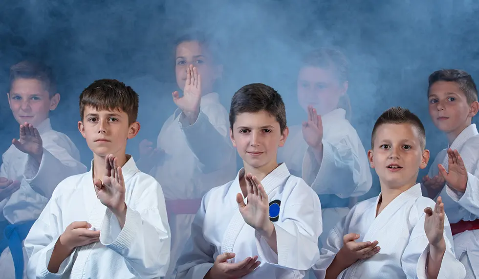 Academy of Integrated Martial Systems