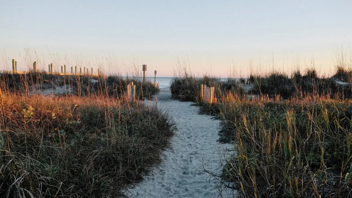 Coastal Movement Specialists