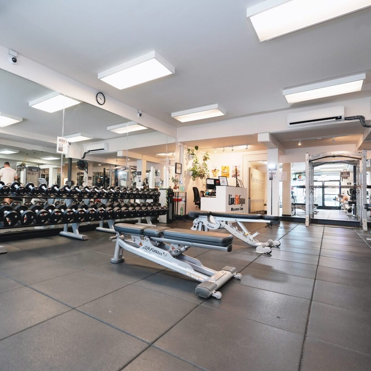 Live Fit Gym Inc, Nob Hill