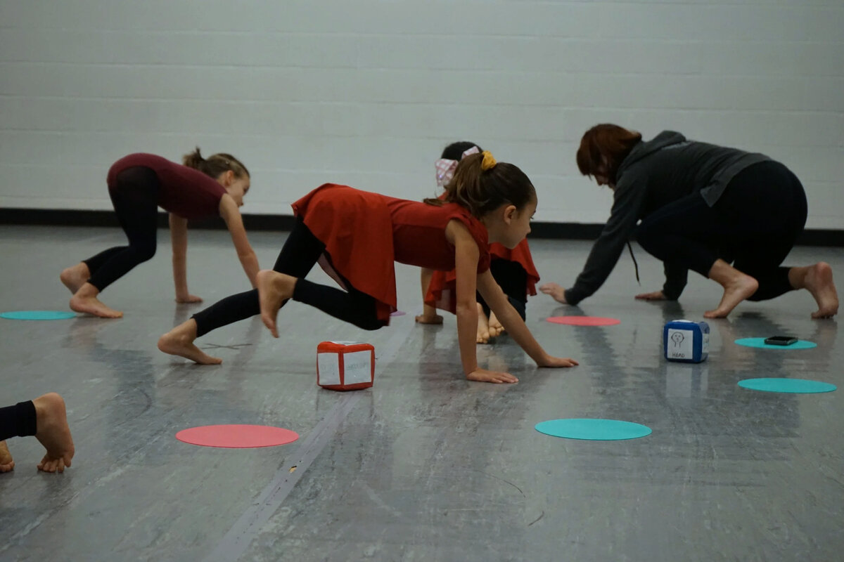 Local Motion Project