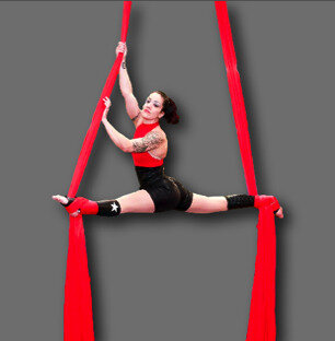 Air Born Aerial Fitness