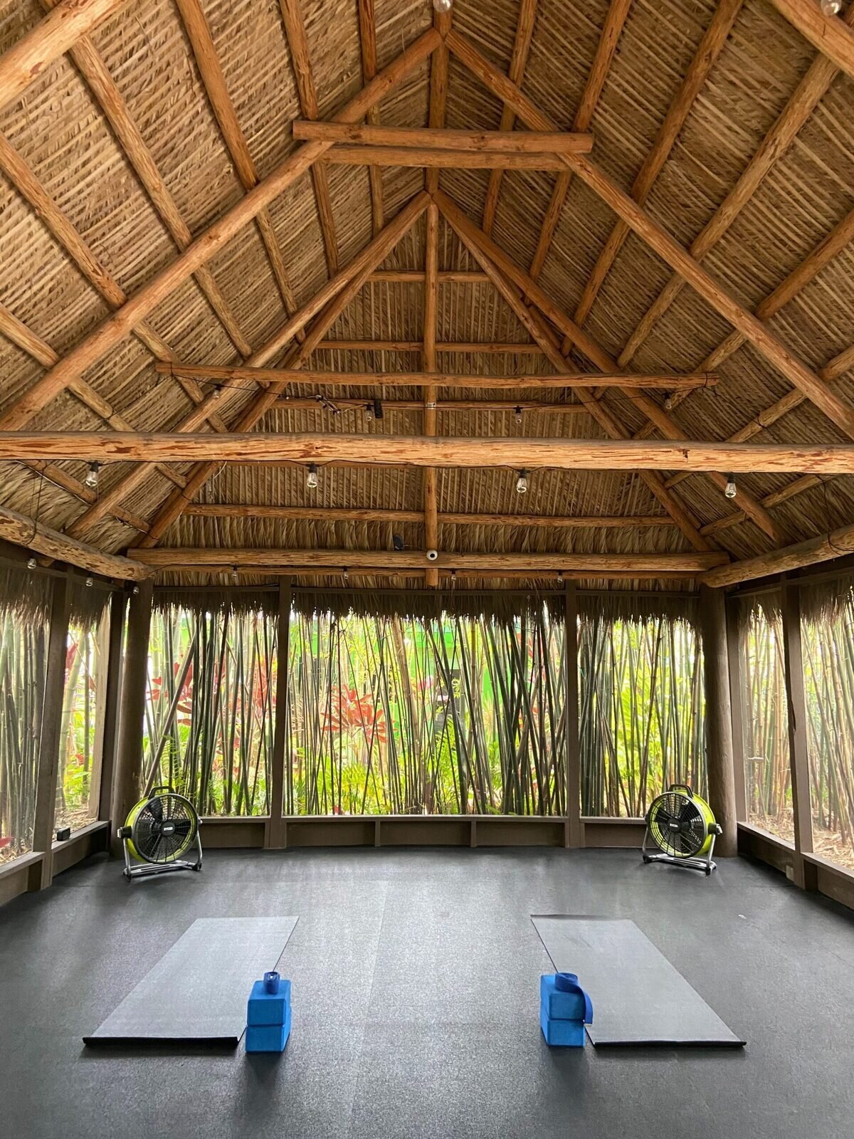 Bamboo Garden Yoga & Delray Aerial Yoga