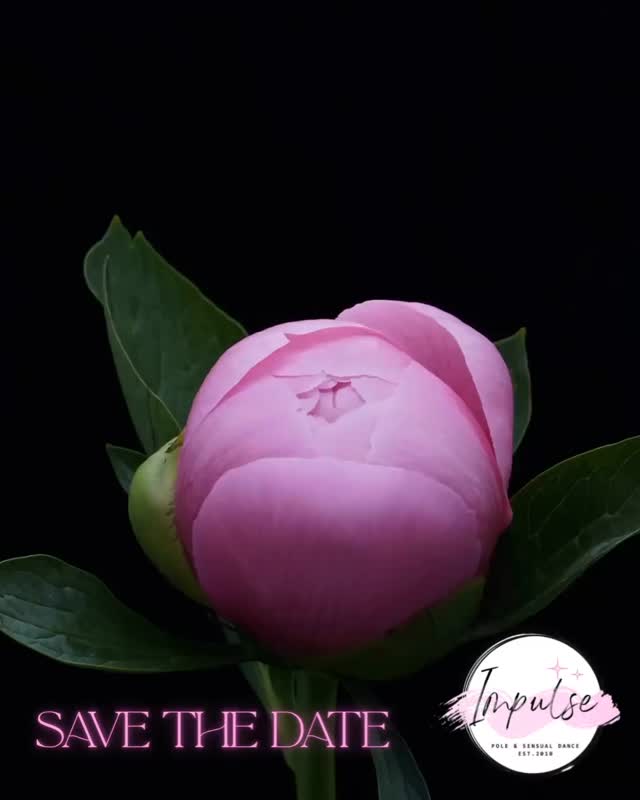 Impulse Studios Pole Dance and Exotic Fitness - 2