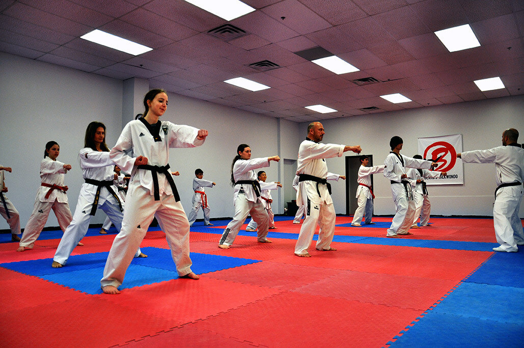 Beard's Taekwondo