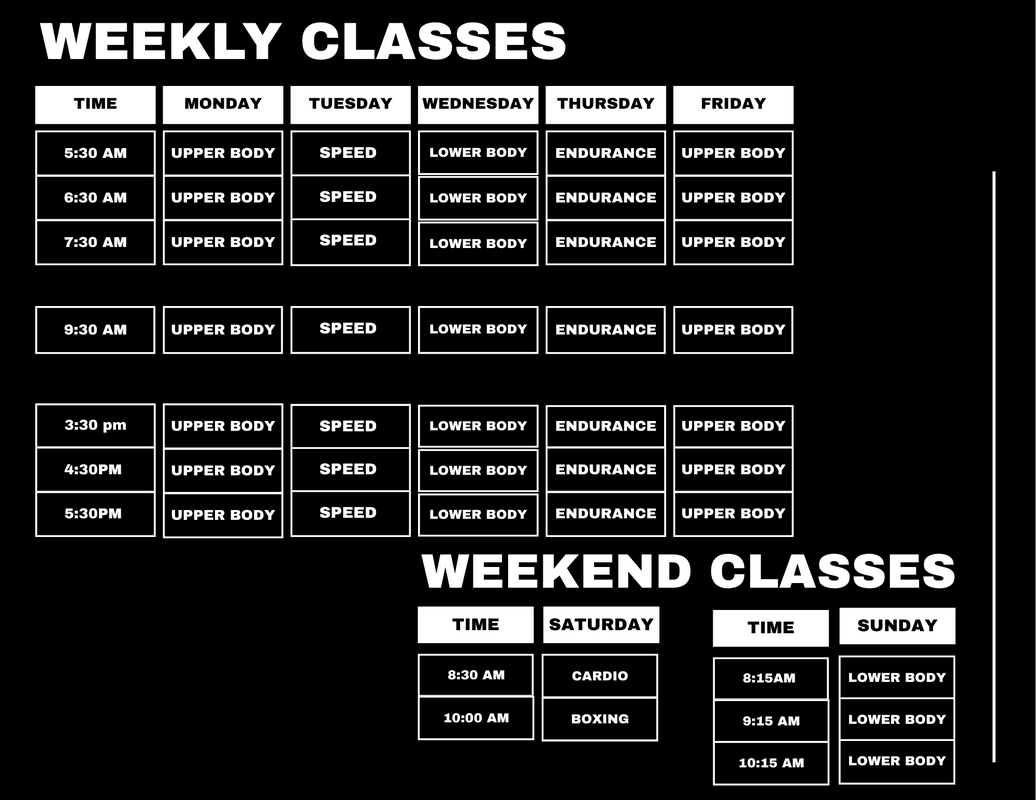 APX Sports and Fitness