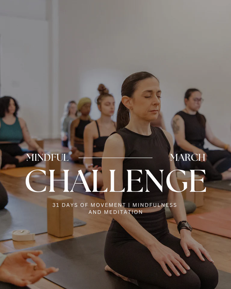 Harvest yoga + wellness studio