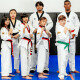 Hansoo Taekwondo Academy