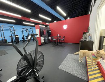 Seriously Strong Training - St. Petersburg