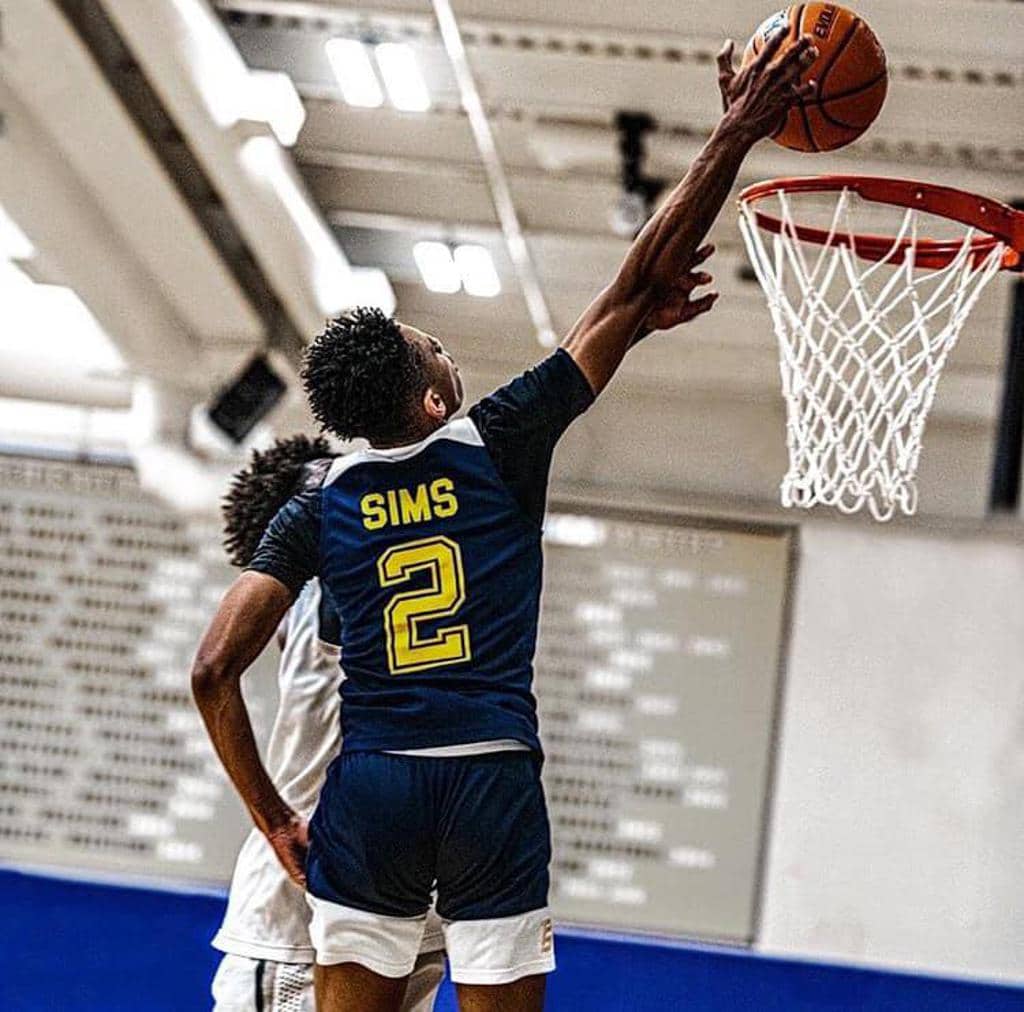 Sims Basketball Academy