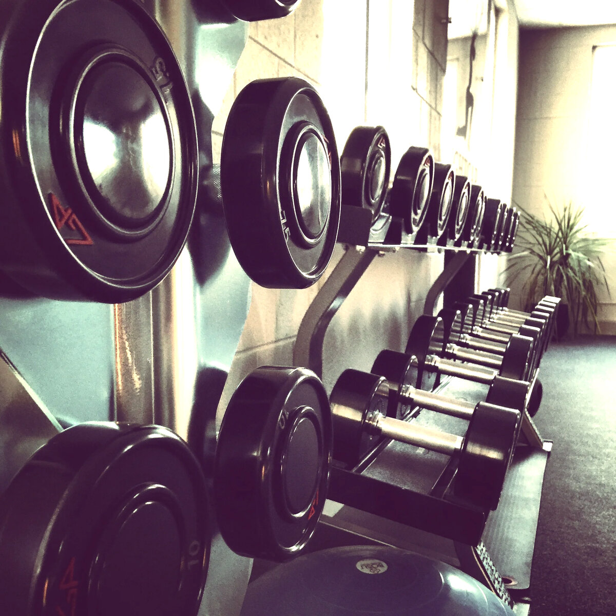 Lightcap Fitness Studios