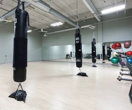 Blue Lion Fitness