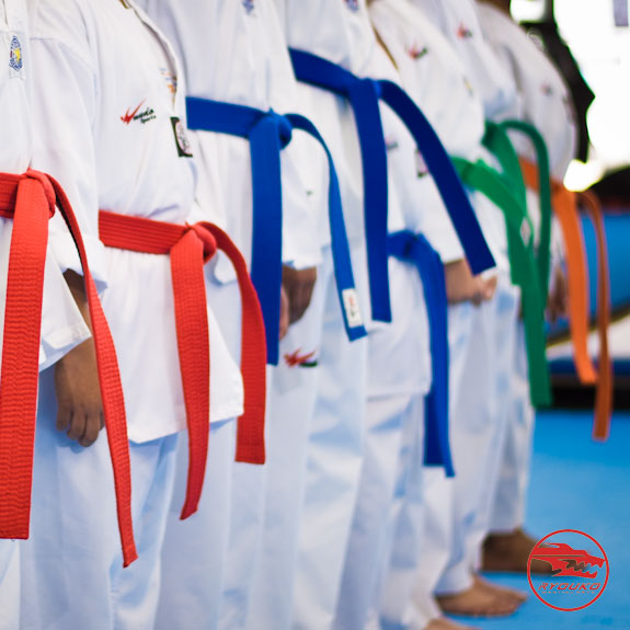 Ryouko Martial Arts