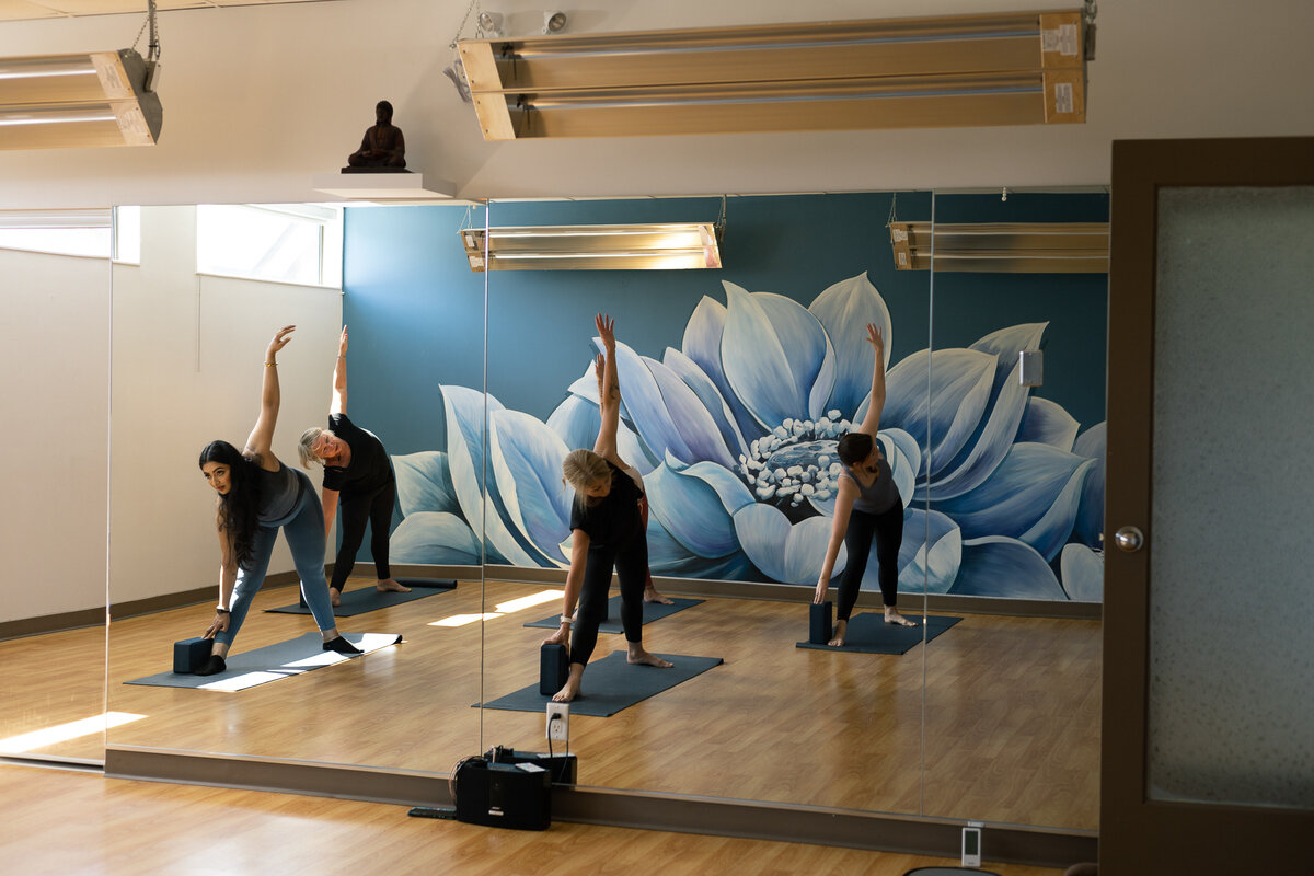 Evolution Pilates and Yoga Studios