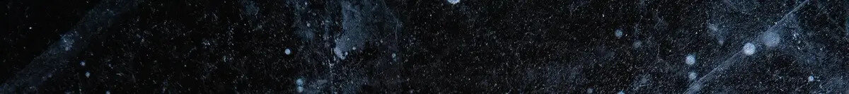 Elev802 Performance – The Palace