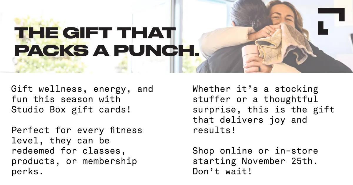 Studio Box Newmarket