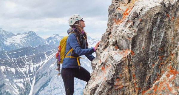 The Wellness Experience