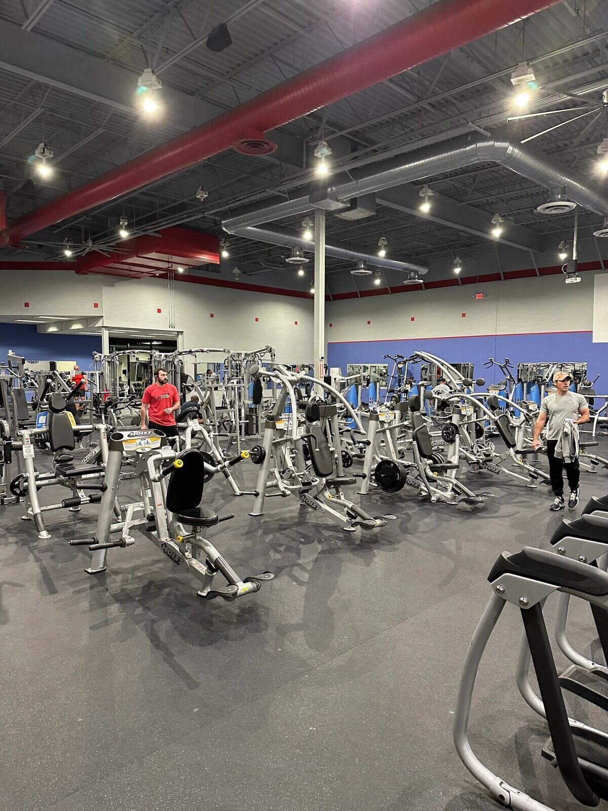 Next Level Fitness & Training