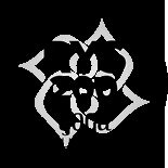 Move Your Hyde Power Yoga