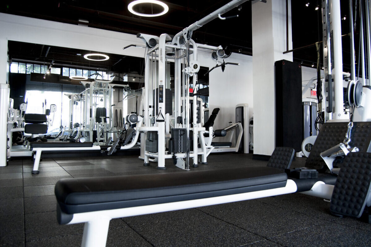 Live Fit Gym Inc, Hayes Valley