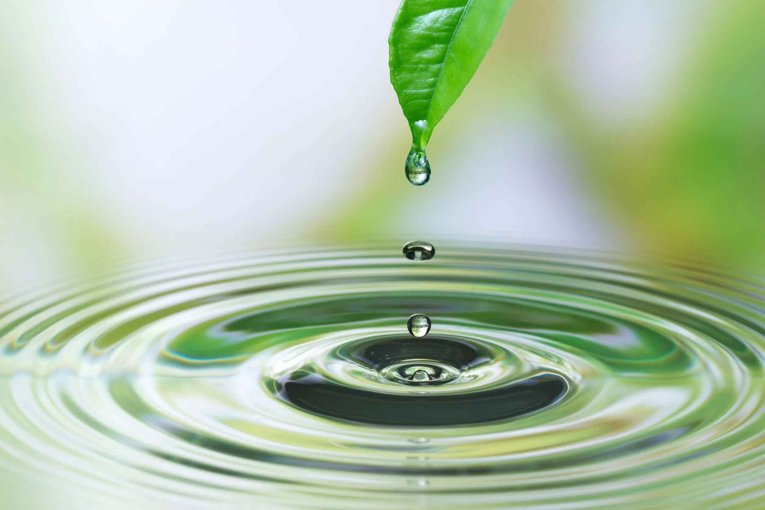 Anahata Hot Yoga and Wellness Center