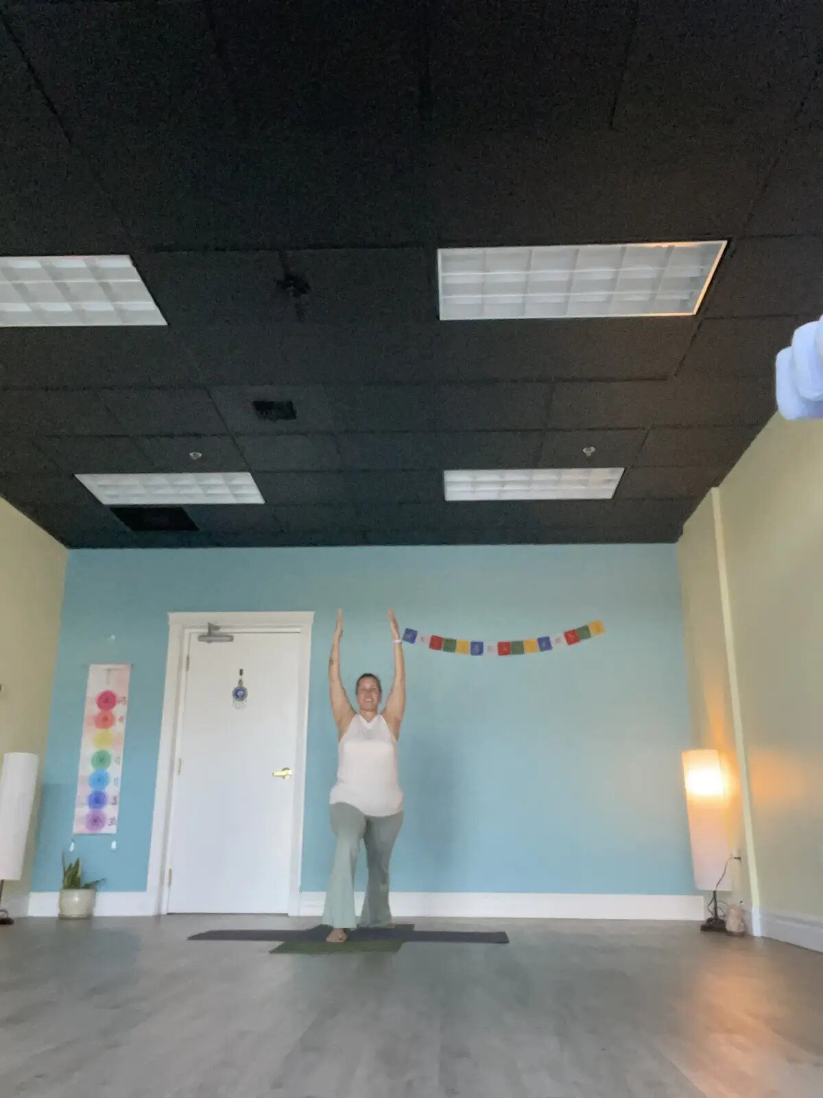 Flying Heron Yoga & Wellness