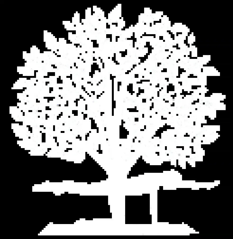Joy of Movement Pilates and Gyrotonic Studio