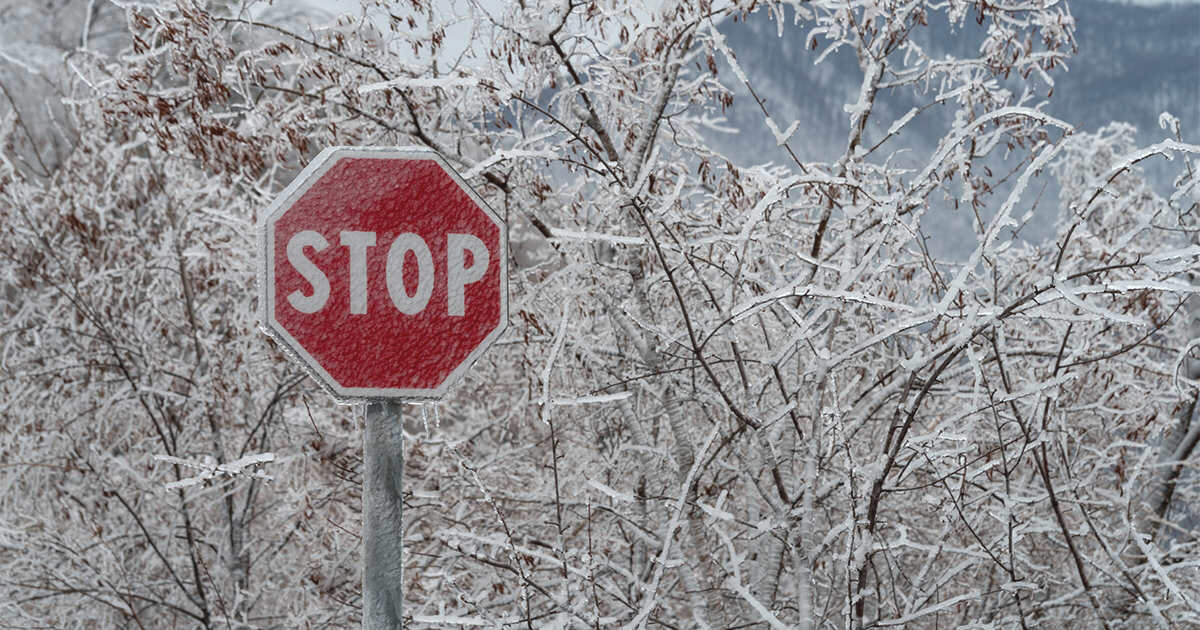 Crystal Tree Yoga Inc.