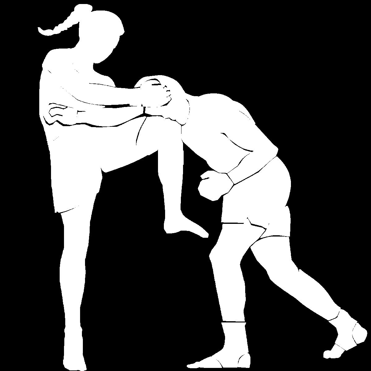 Dojo Omaha