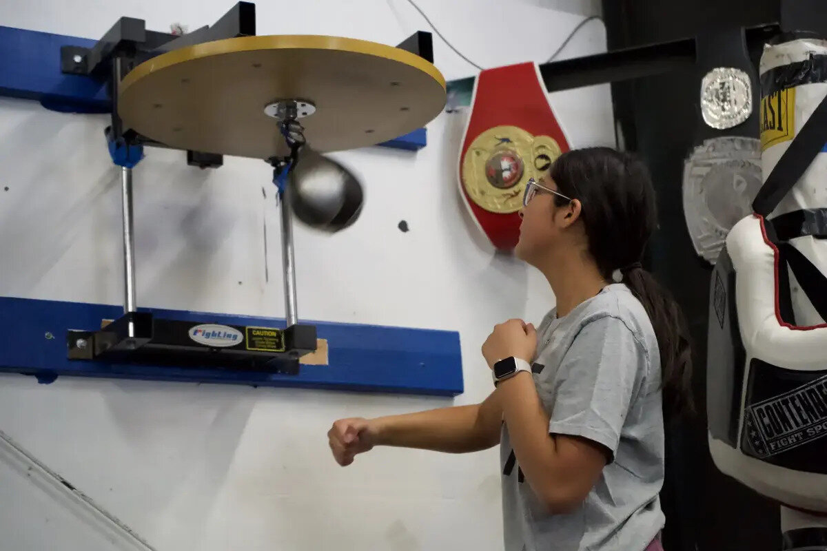 Tazmanian Boxing Club