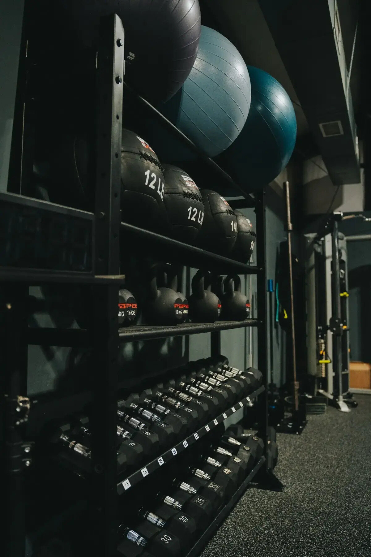 The Zone Sports & Fitness