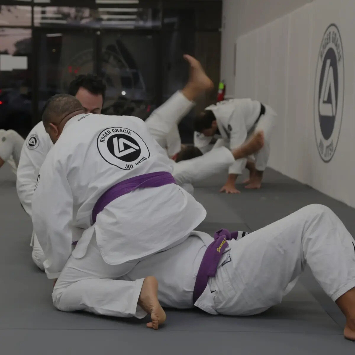 Roger Gracie Deerfield Beach