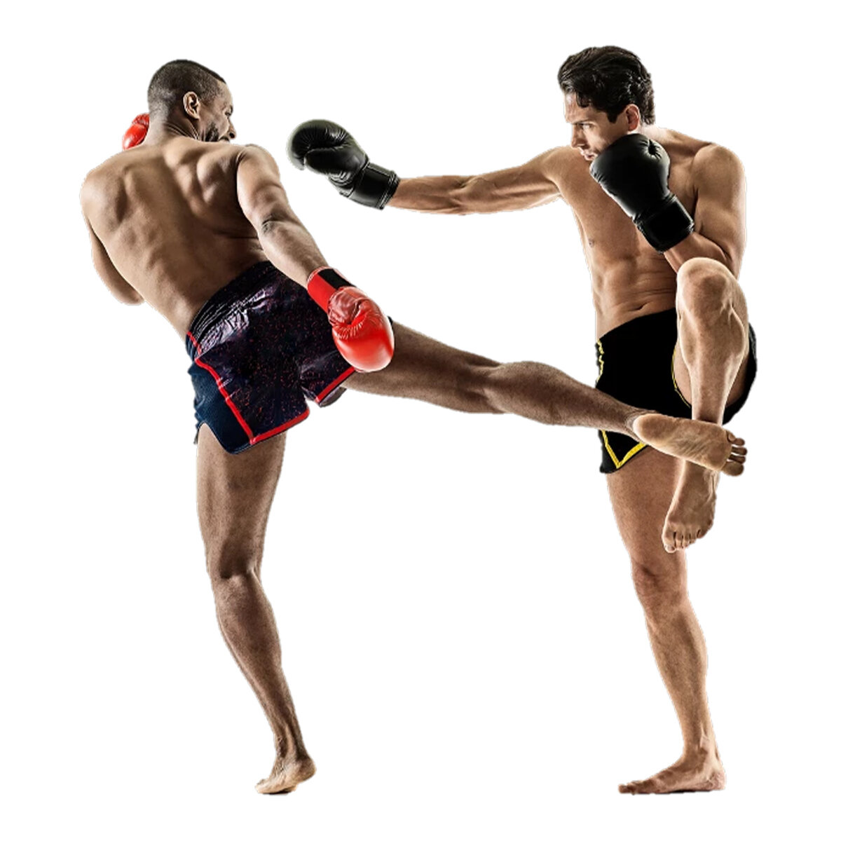 High Impact Martial Arts