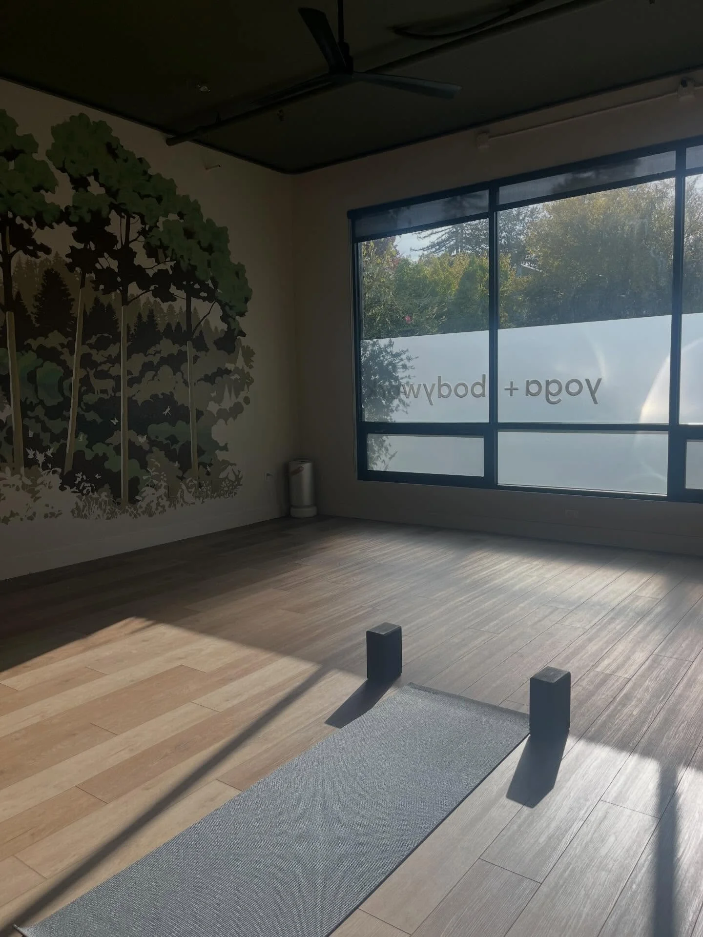 Radiate Studio