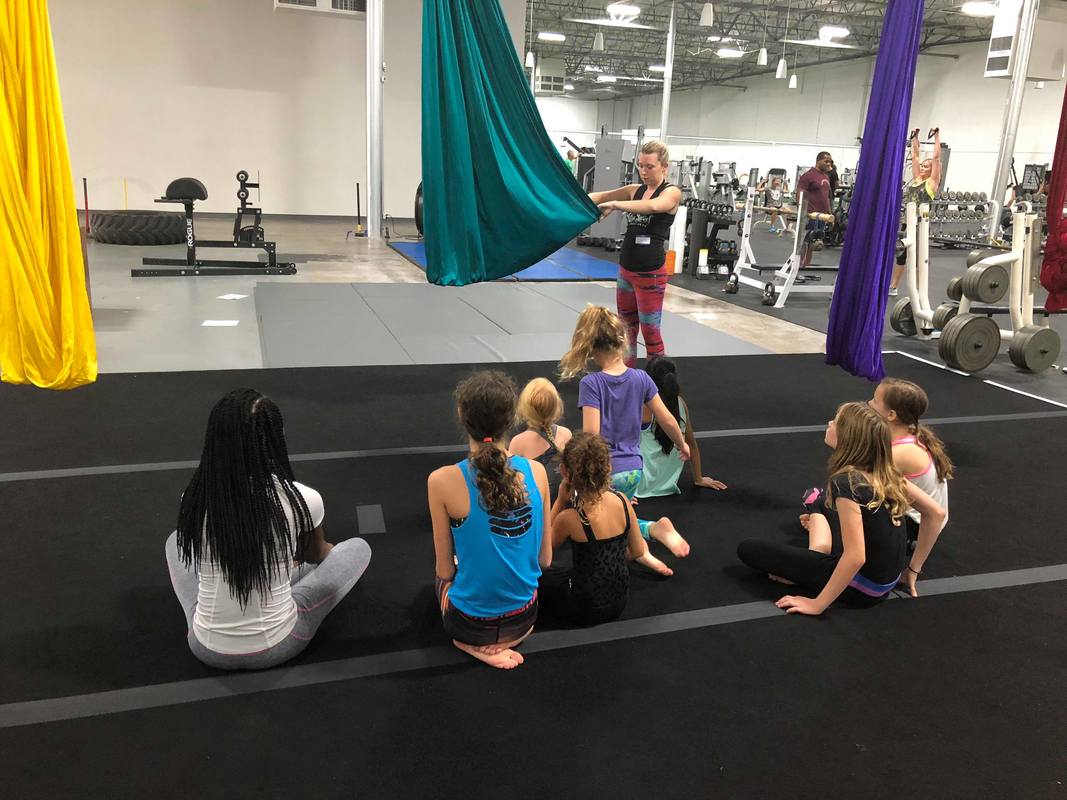 Moxie Mischief Aerial Arts