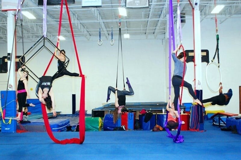 Moxie Mischief Aerial Arts
