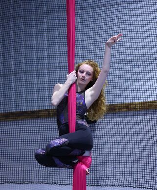 The Aerial Annex LLC