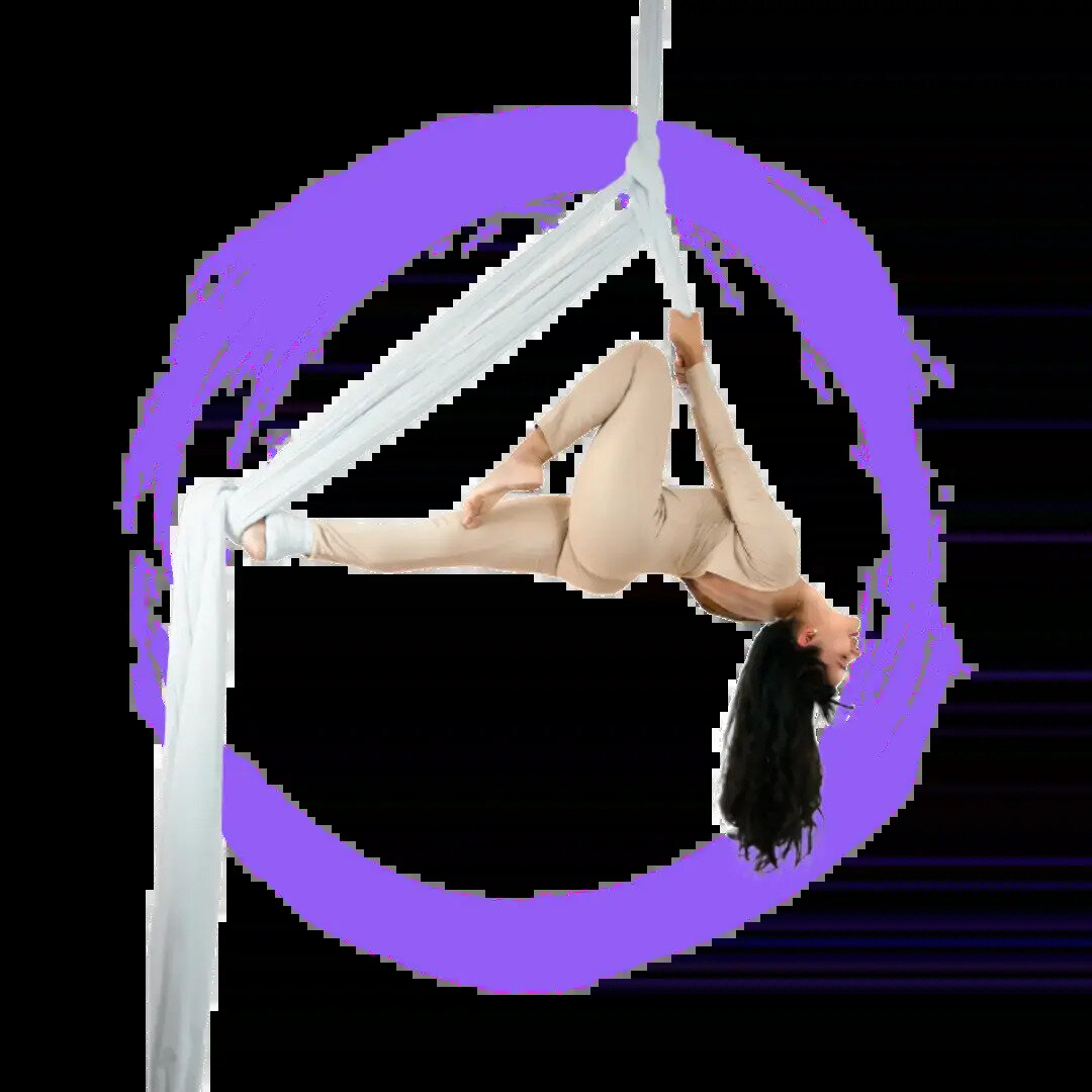 The Aerial Pole Academy