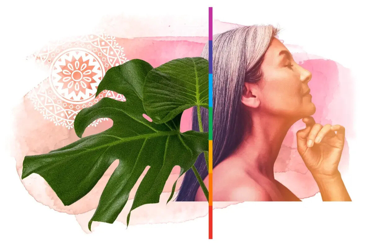 Indigo Dragon Center