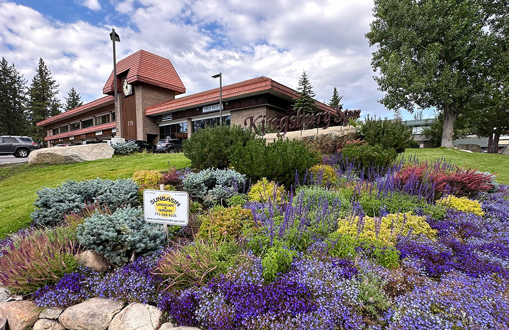 Tahoe Club 100