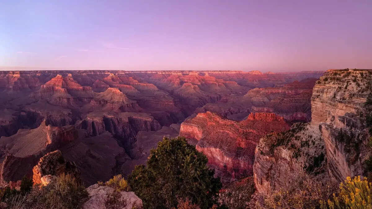 Taiga Yoga and Therapy Centre