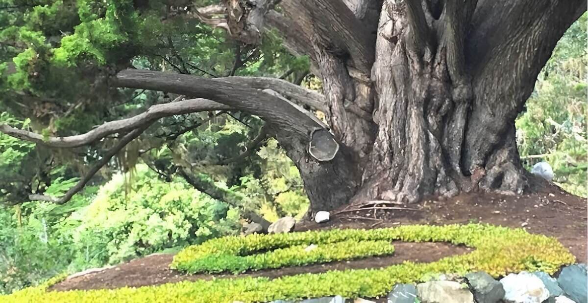Esalen Institute