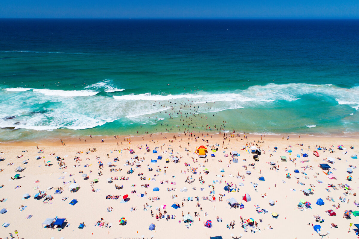 Maroubra Seals Sports and Community Club