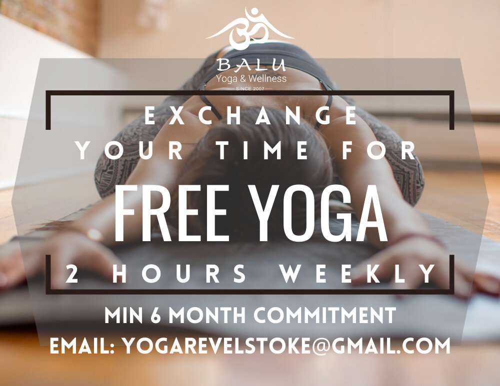 Balu Yoga and Wellness