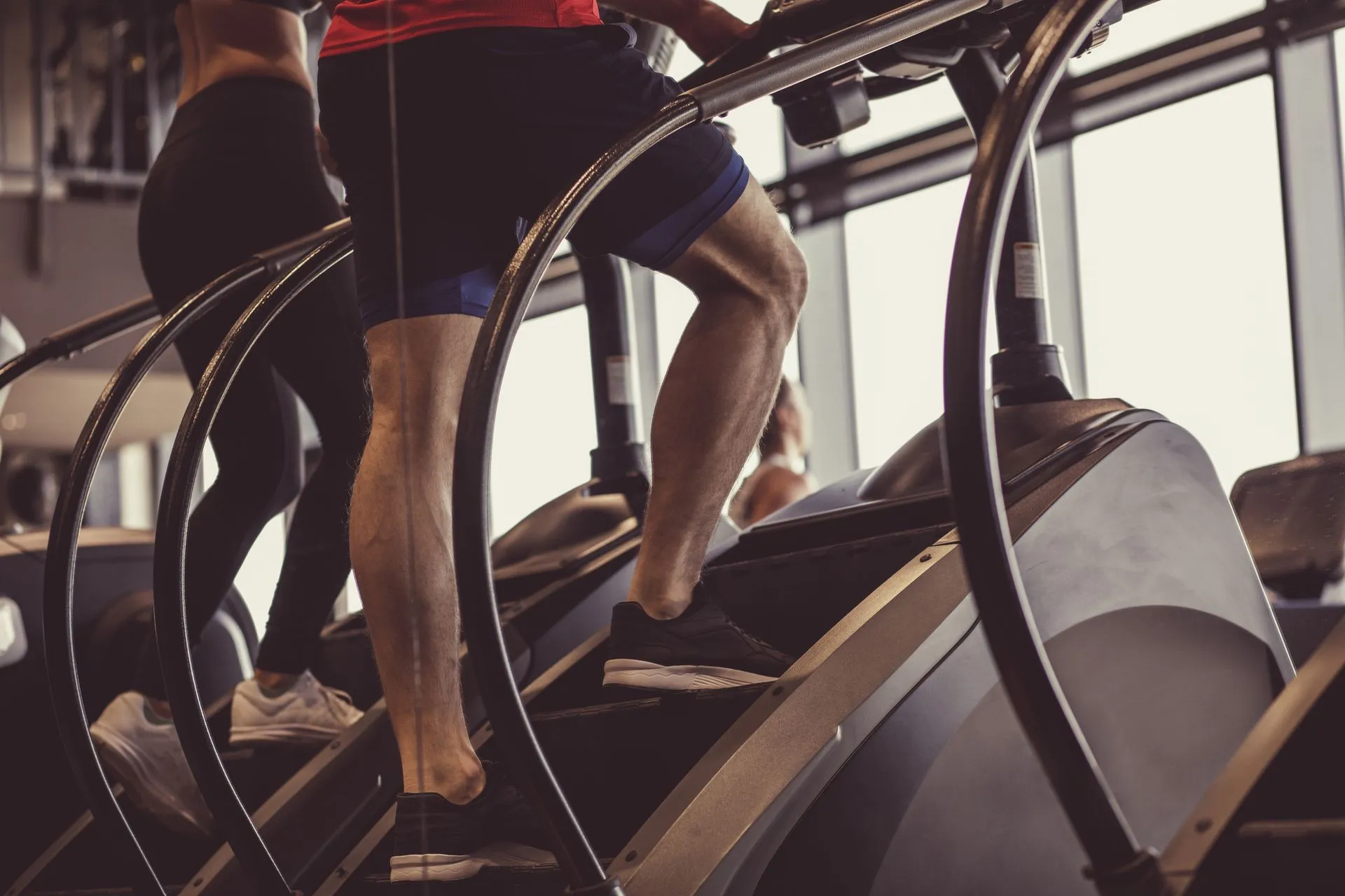 Fitness Fanatics