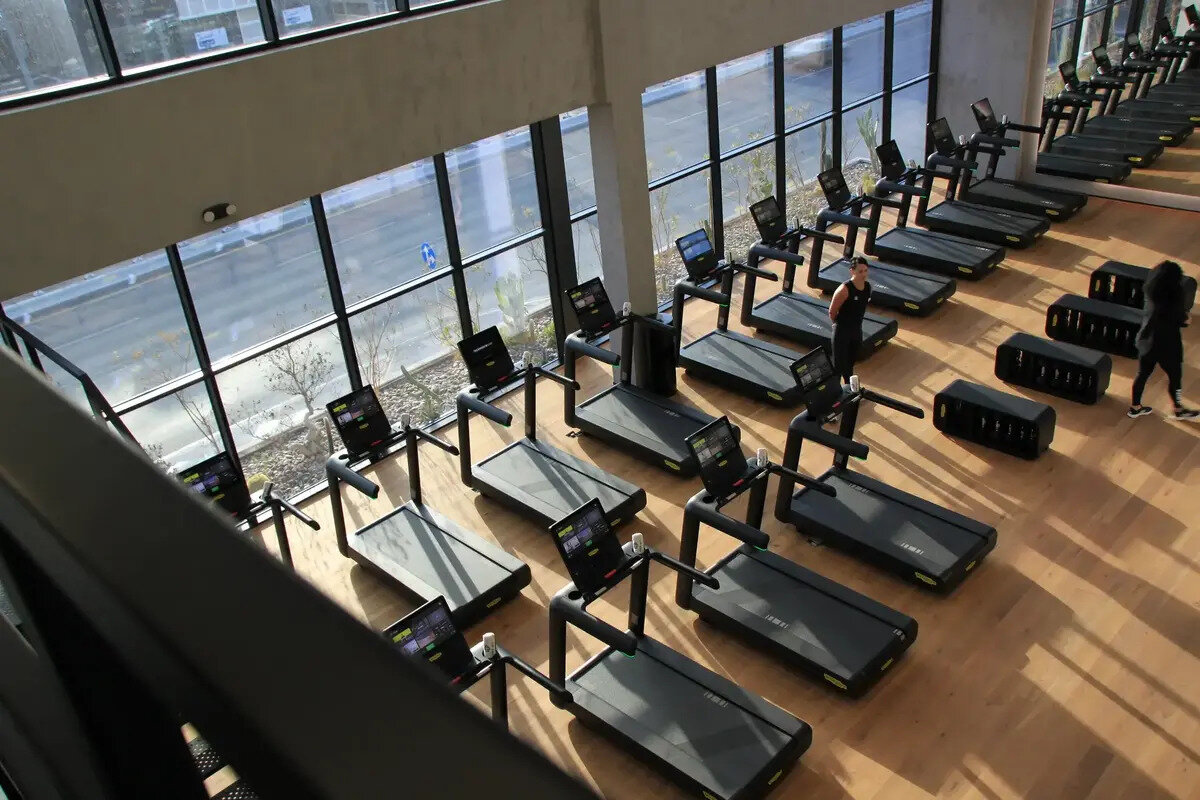 Plank gym