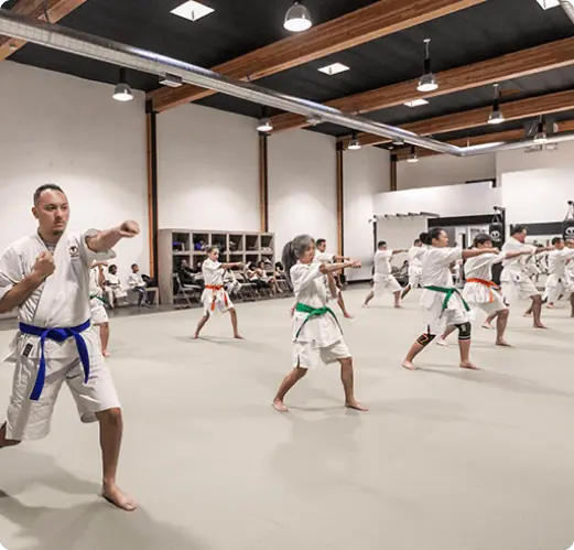 Machida Karate Academy